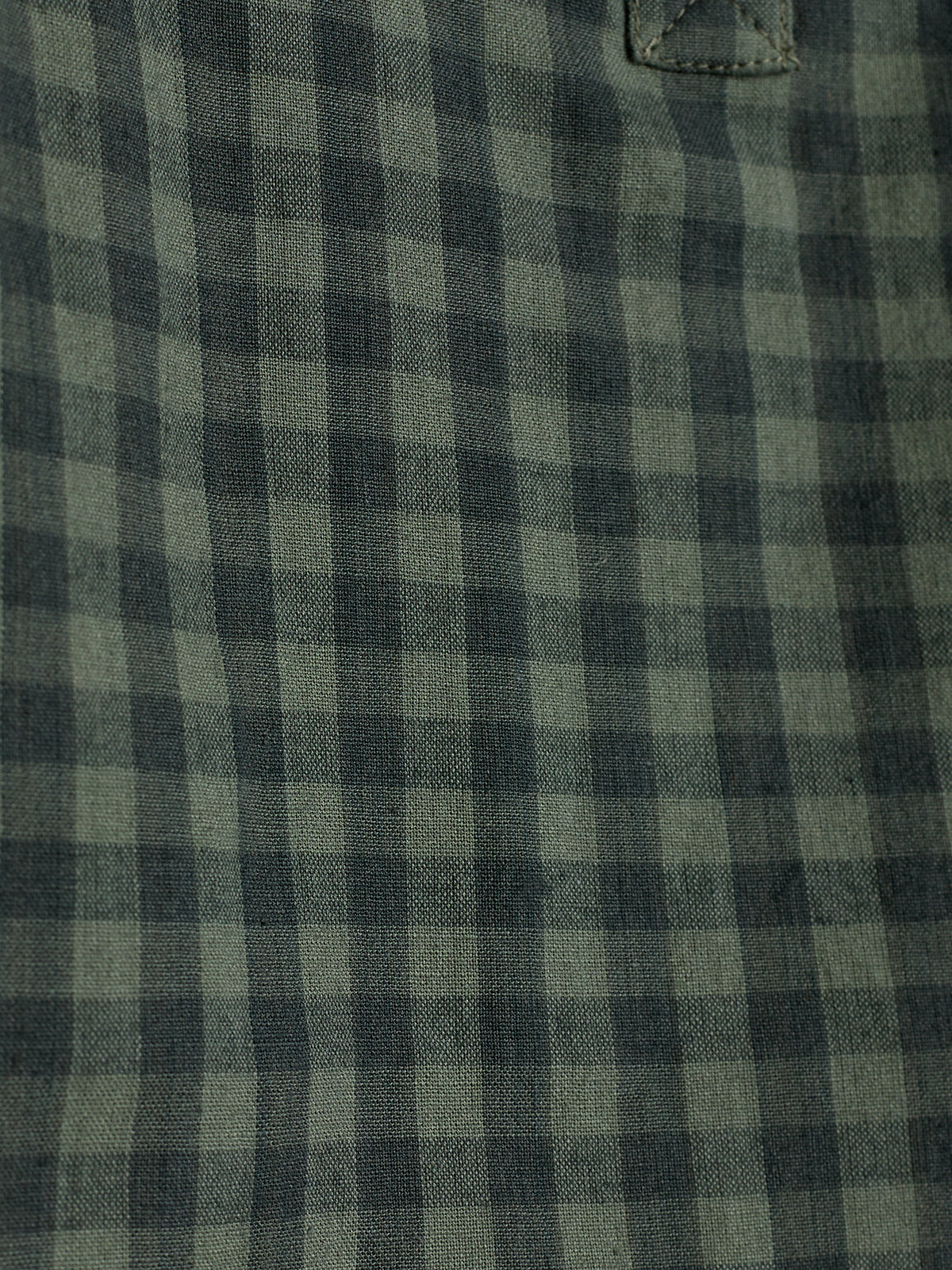 Micro Gingham Cotton Shirt - Little - Green